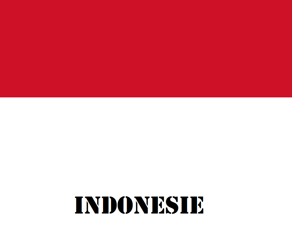 Indonsie