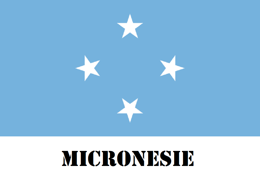 Micronsie
